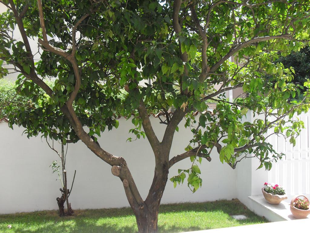 Casa Santolina B&B Roma Ngoại thất bức ảnh
